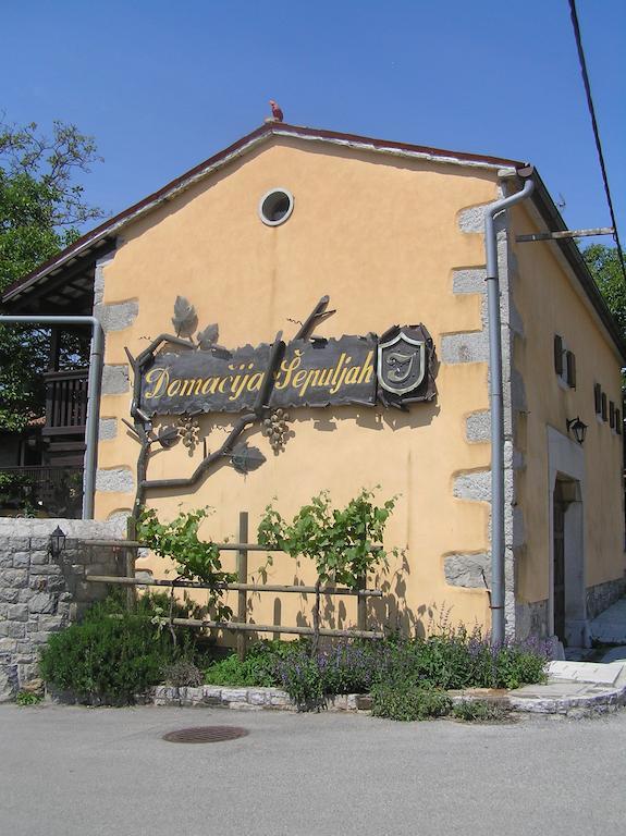 Guesthouse Domacija Sajna Sezana Exterior photo